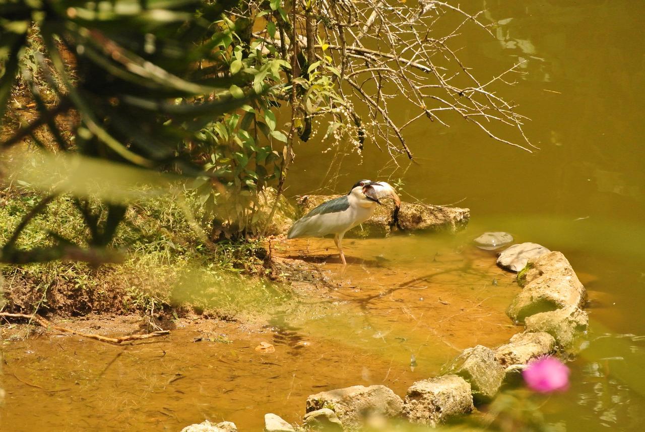 Eco Hotel Los Lagos Marsella  Luaran gambar