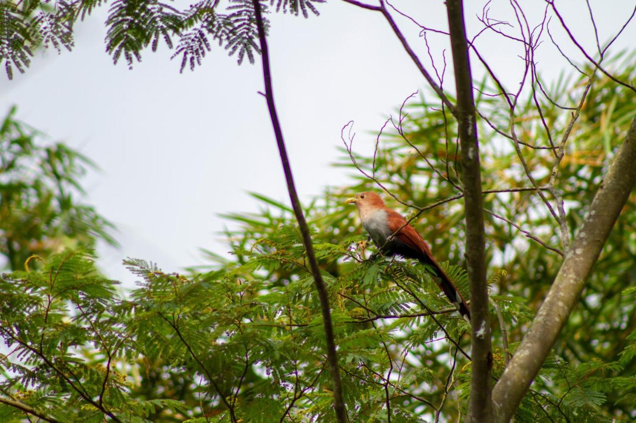 Eco Hotel Los Lagos Marsella  Luaran gambar